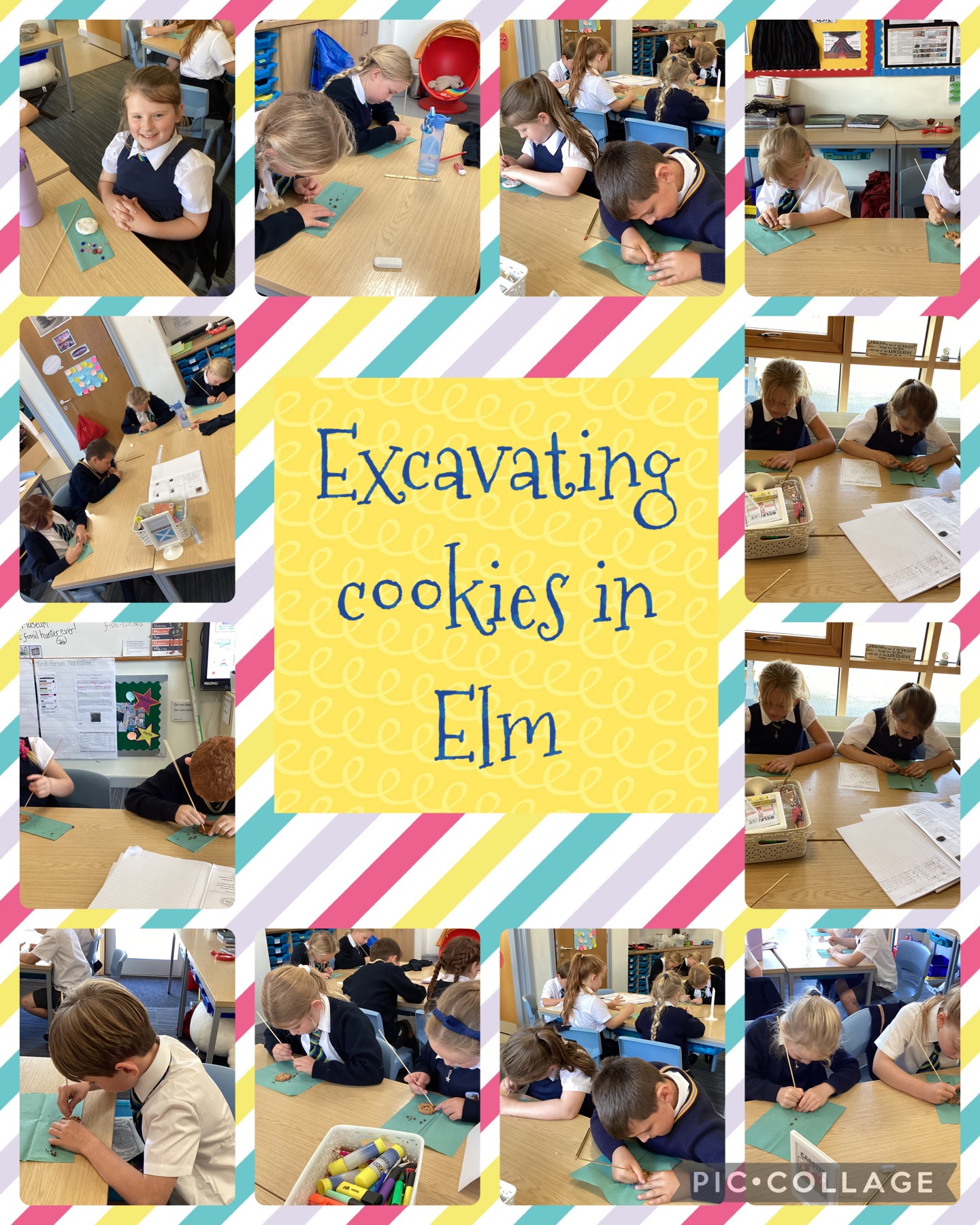 Image of Cookie excavation in Elm