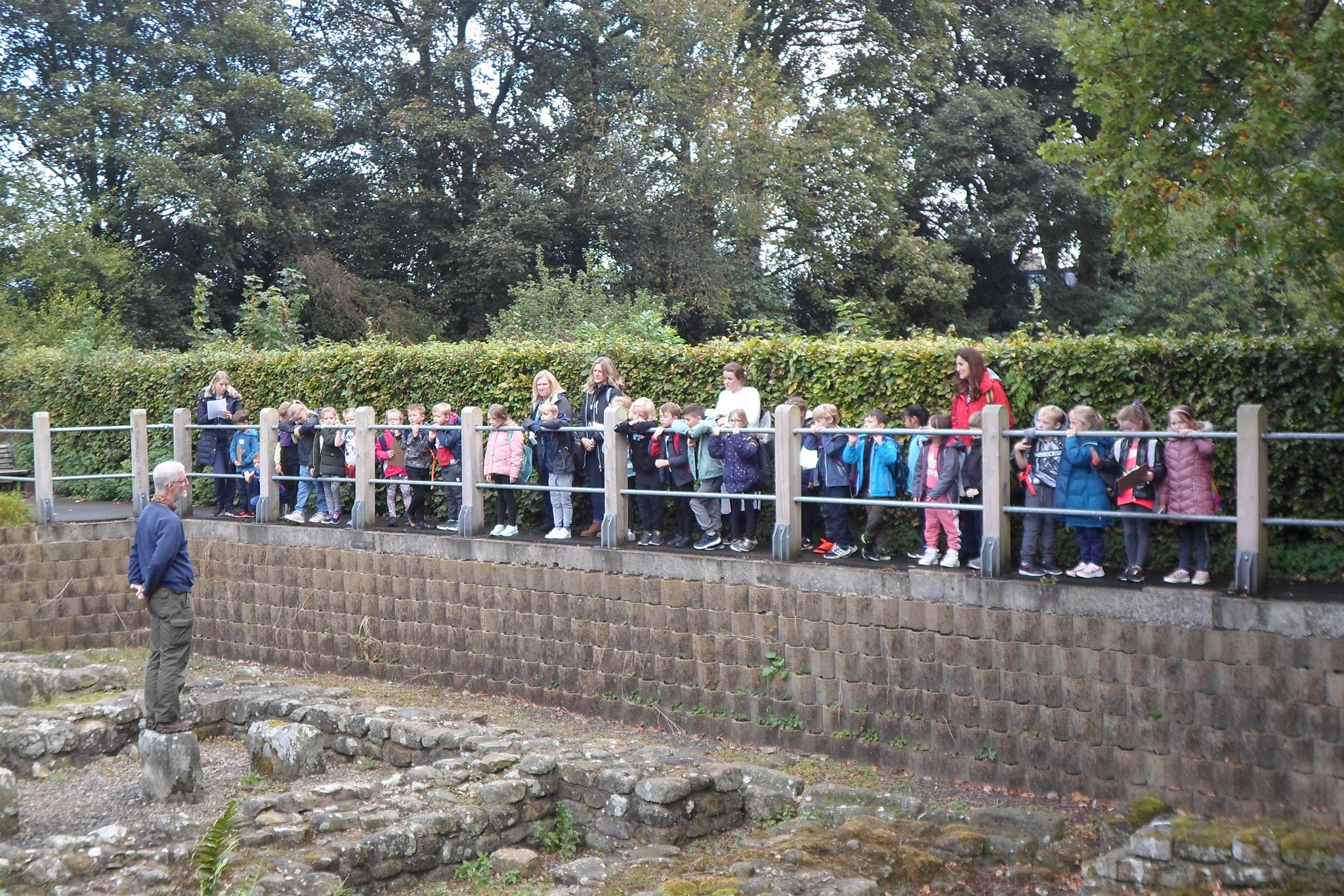 Image of Beech Ribchester Trip