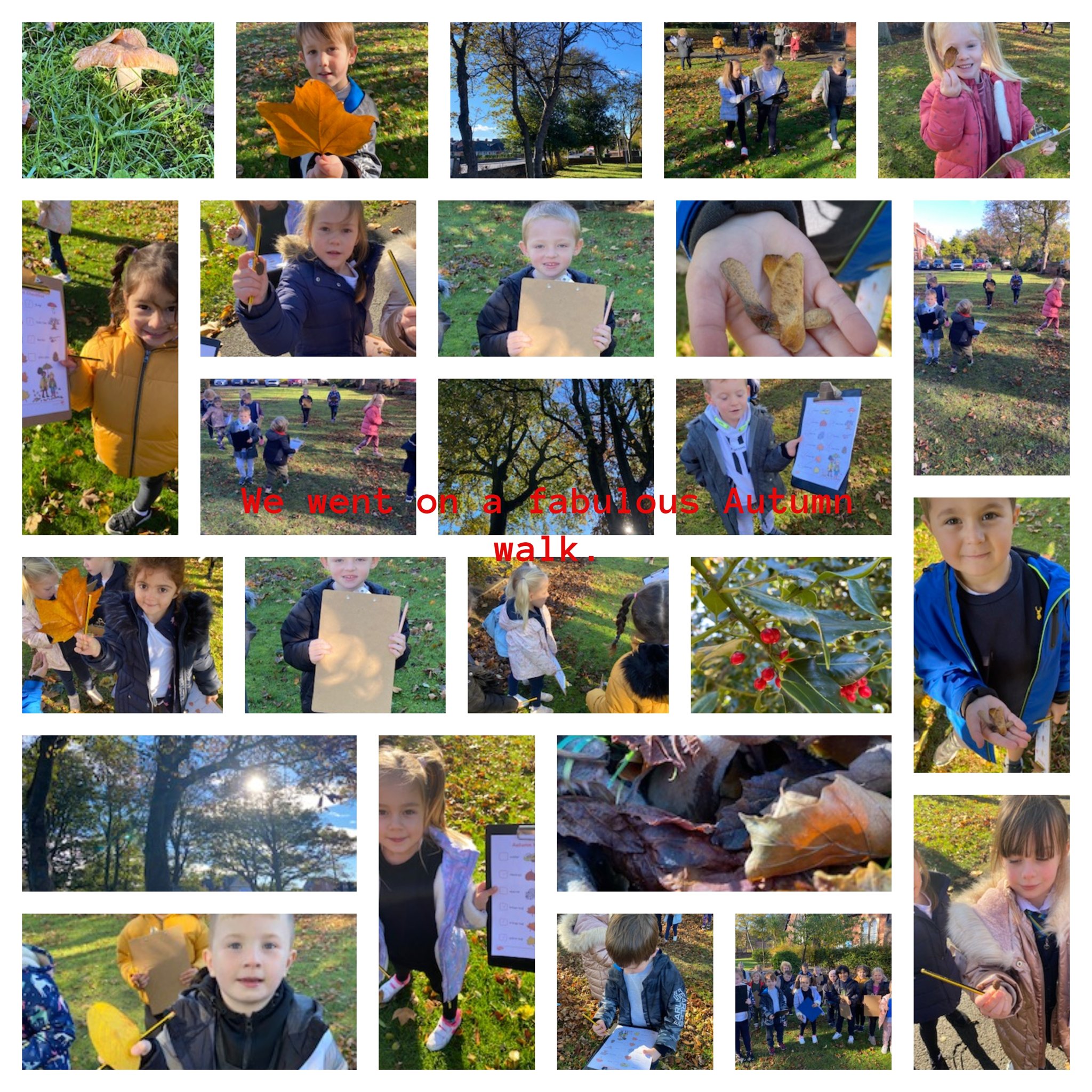 Image of Maple Class Autumn adventures!