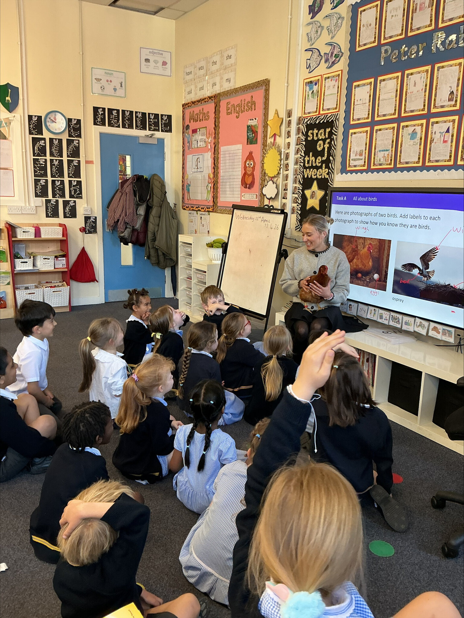 Image of Science: Mammals and birds 