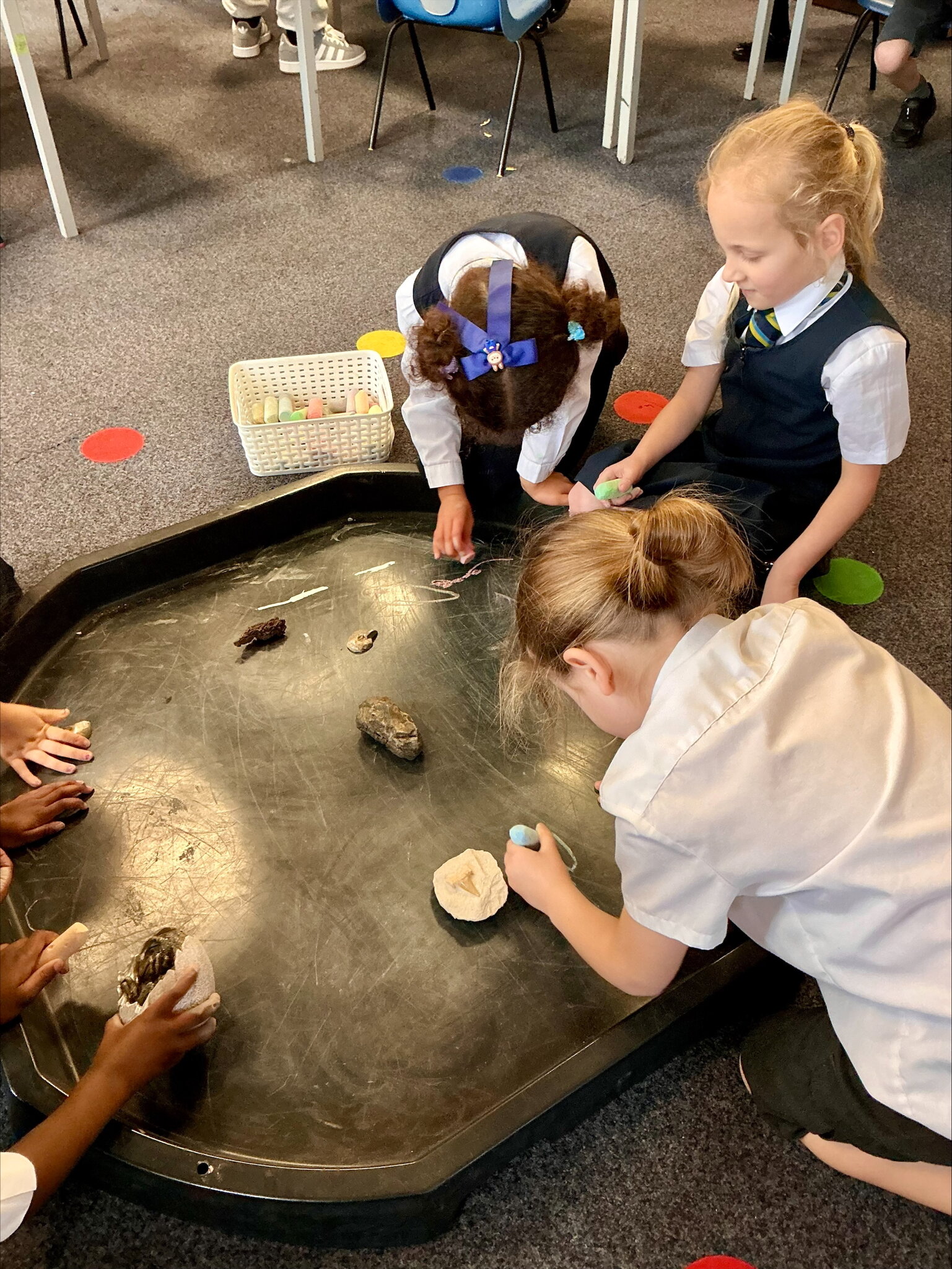 Image of Pine Class Science