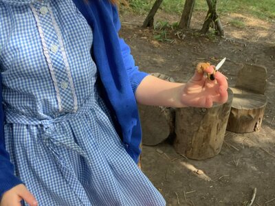 Image of EYFS busy bees