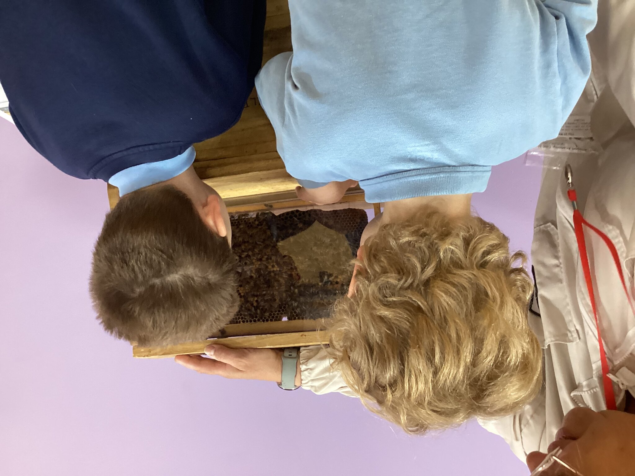 Image of West Norfolk and Kings Lynn Bee Keepers