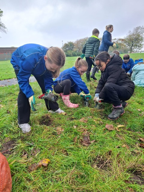 Image of Season of Creation community work
