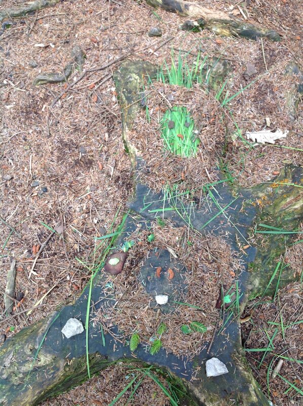 Image of Year 3 Trip to Beacon Fell