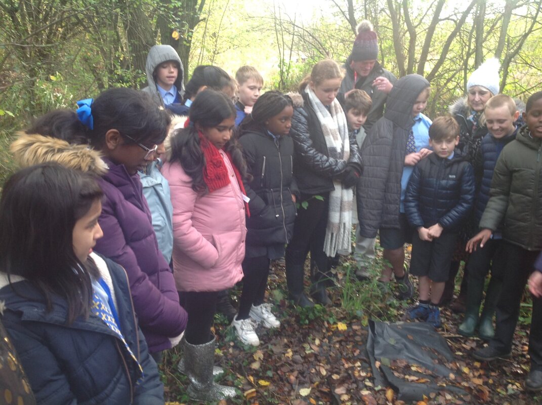 Year 6 Visit To Dob Croft Nature Reserve 