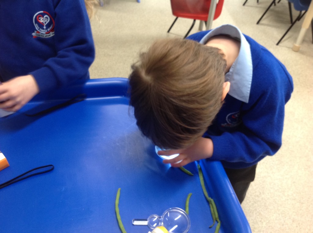 Image of Science Week in Reception Class