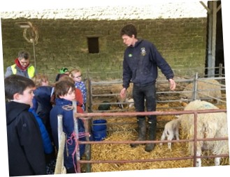 Image of Reception and Year 2 Lambing Trip