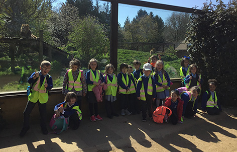 Image of Year 1 Trip to the Cotswold Wildlife Park