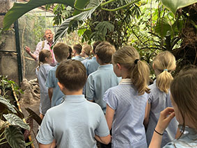 Image of Year 4 Trip into the Living Rainforest