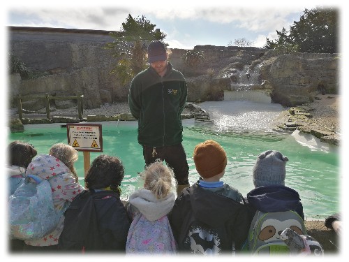 Image of Year 1 Trip to the Cotswolds Wildlife Park