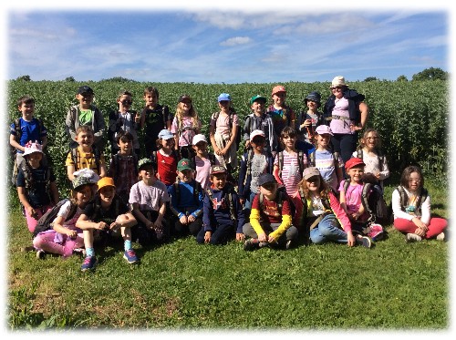 Image of Year 4 Residential to Everdon