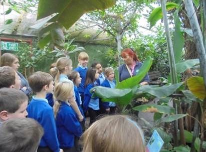 Image of Year 4 to the Living Rainforest
