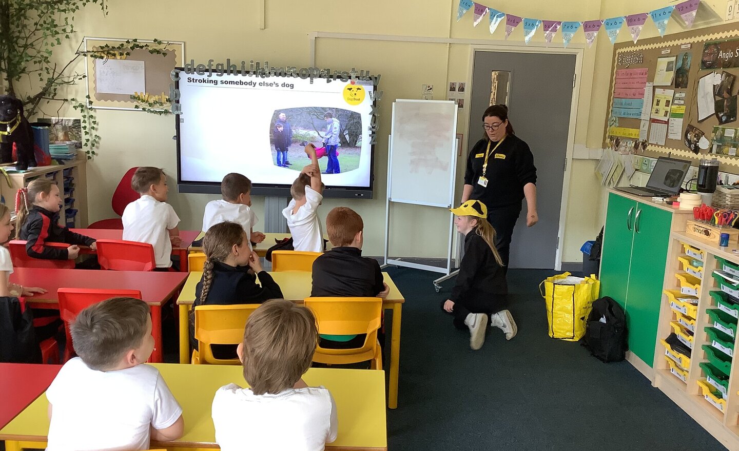 Image of Dogs Trust Assembly