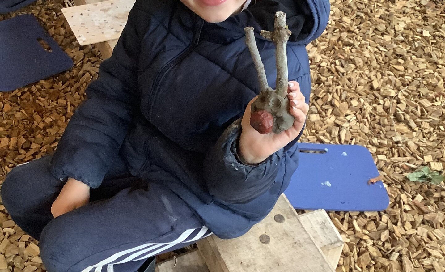 Image of Forest school