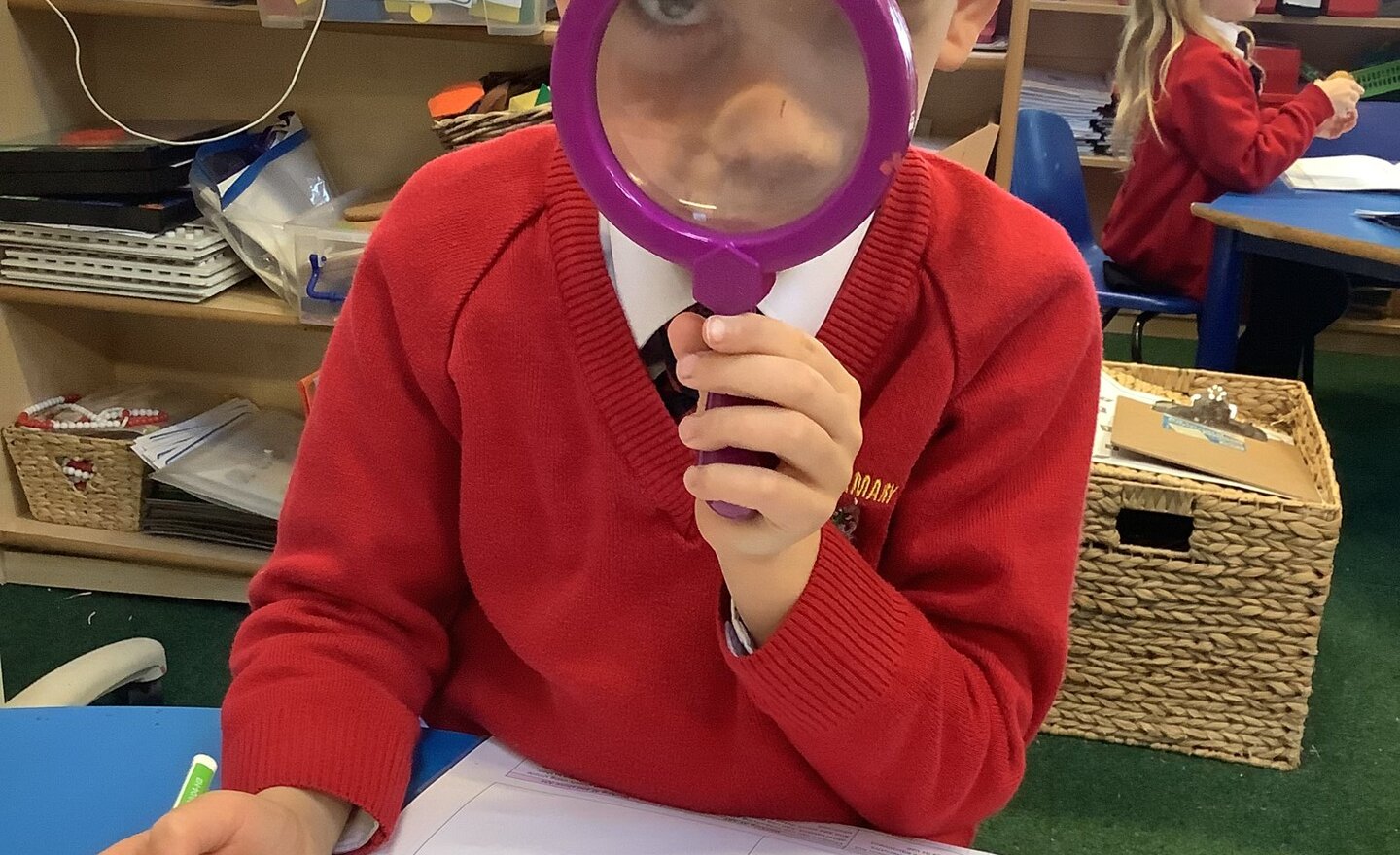 Image of What are the features of fruits?