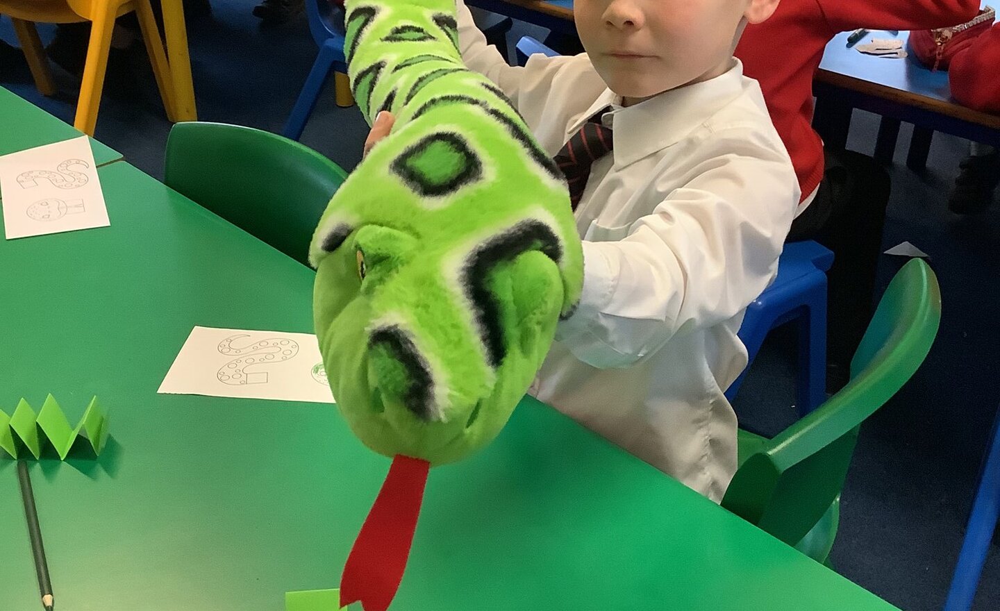 Image of The Year of The Snake