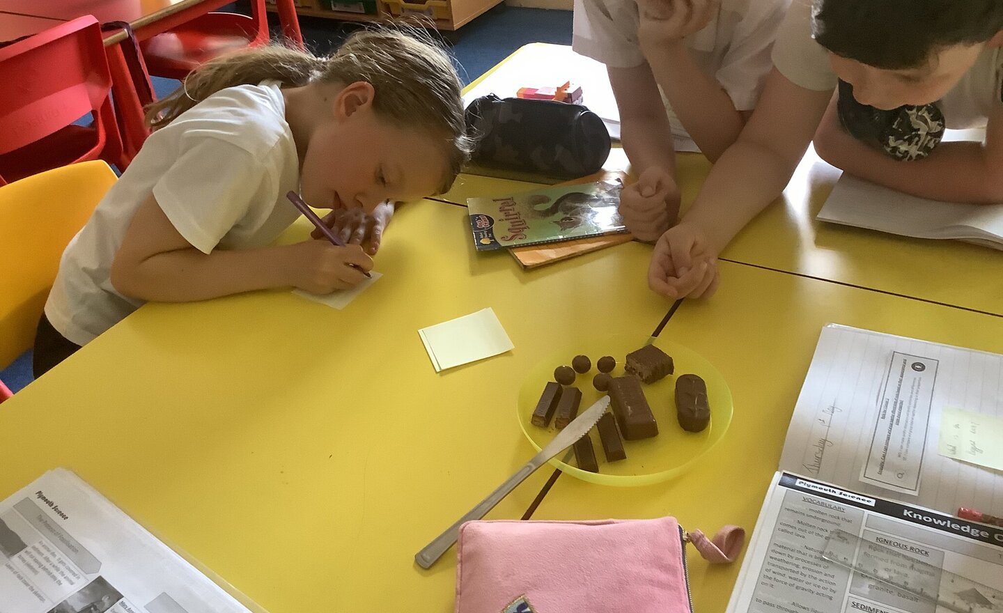 Image of Chocolate Dissection 