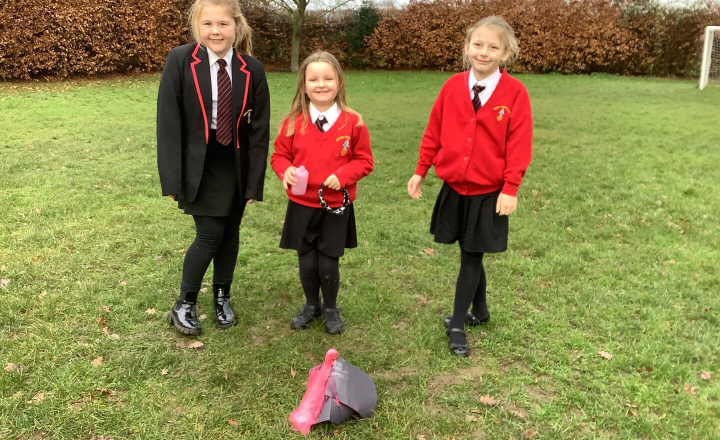 Image of Volcanic Eruptions