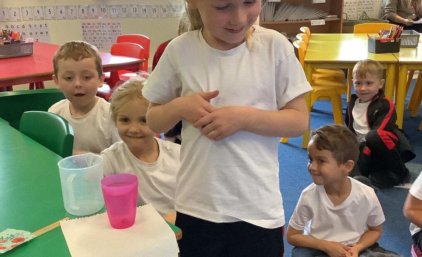 Image of Which materials are absorbent and how do we know?