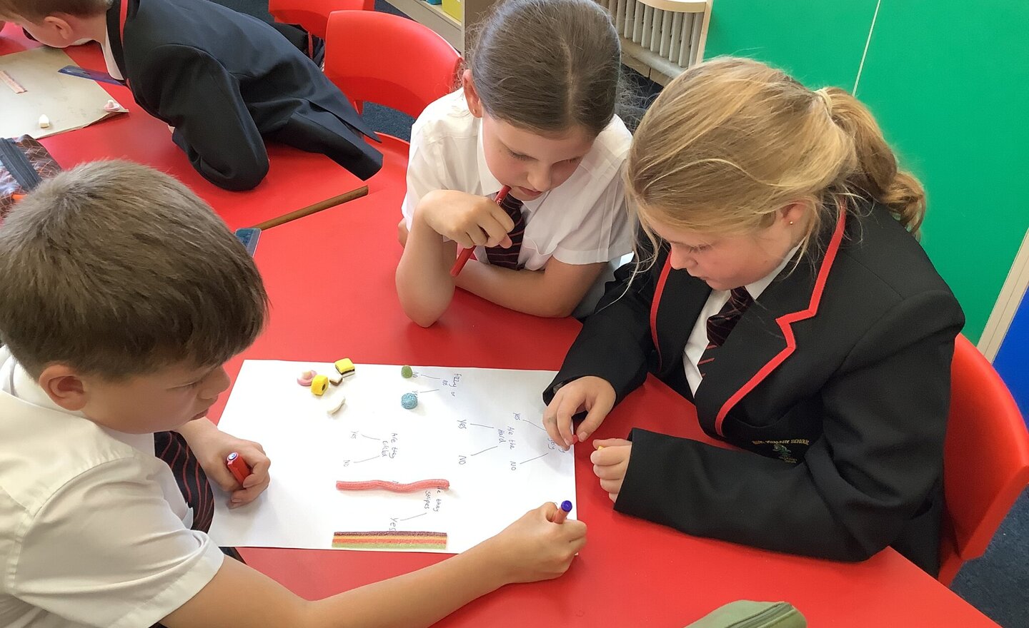 Image of Classification Champions