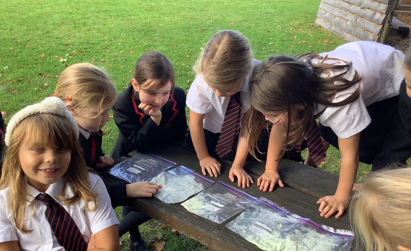 Image of Investigating how to protect our eyes and skin from UV rays