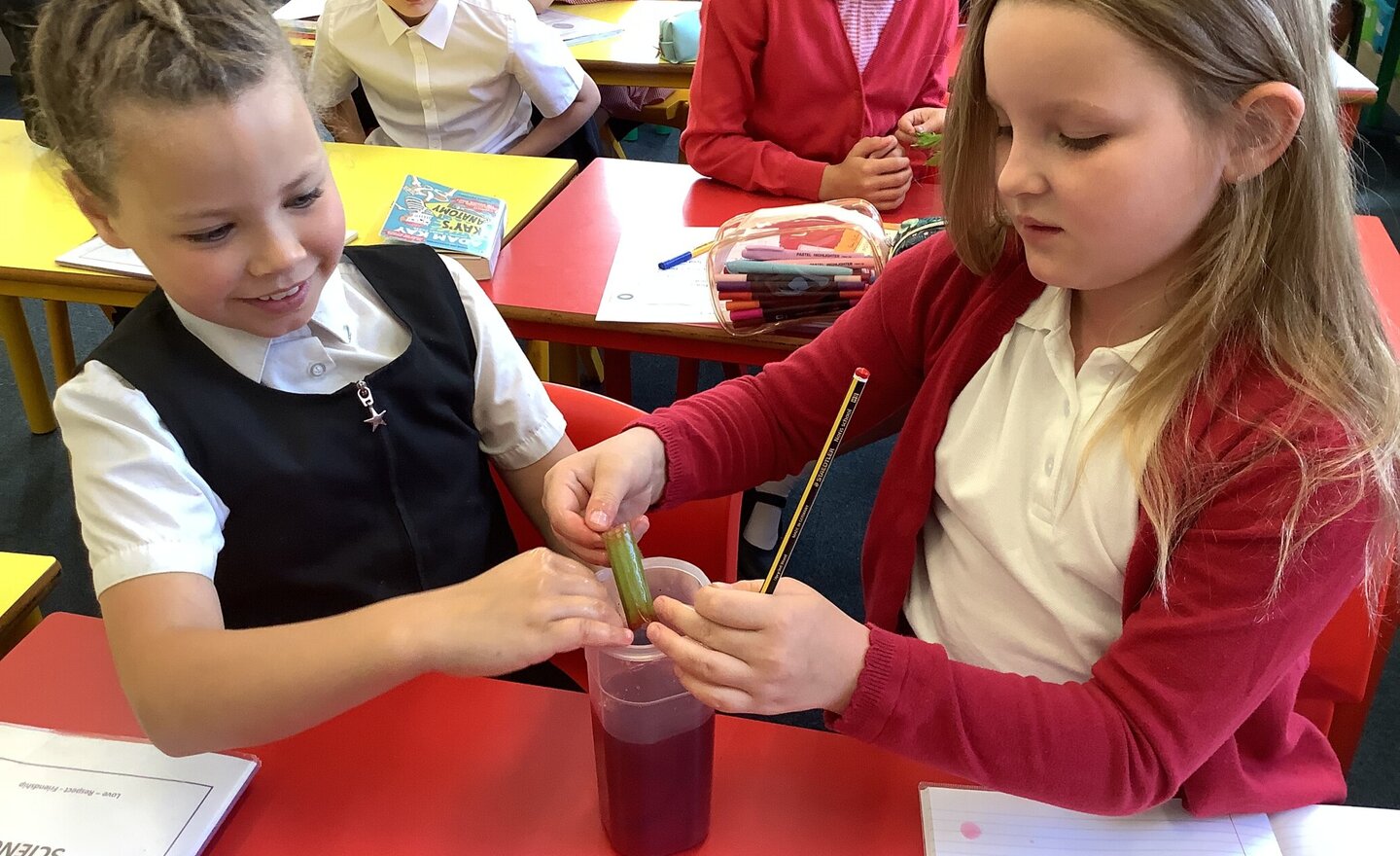 Image of Science Enquiry with Richard Crosse
