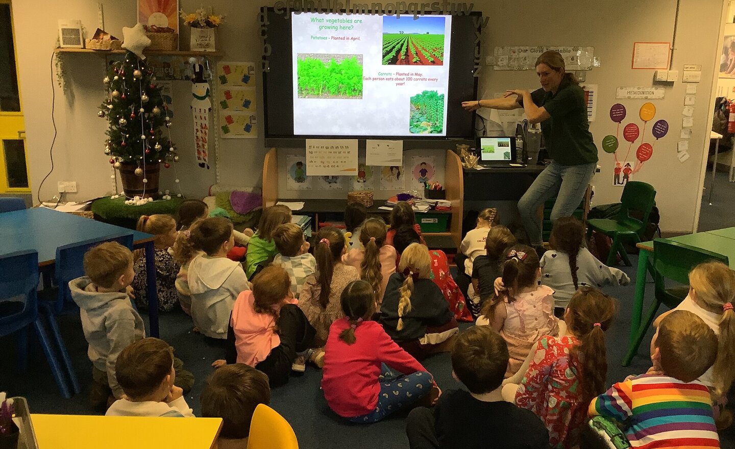 Image of Where does your Christmas dinner come from?