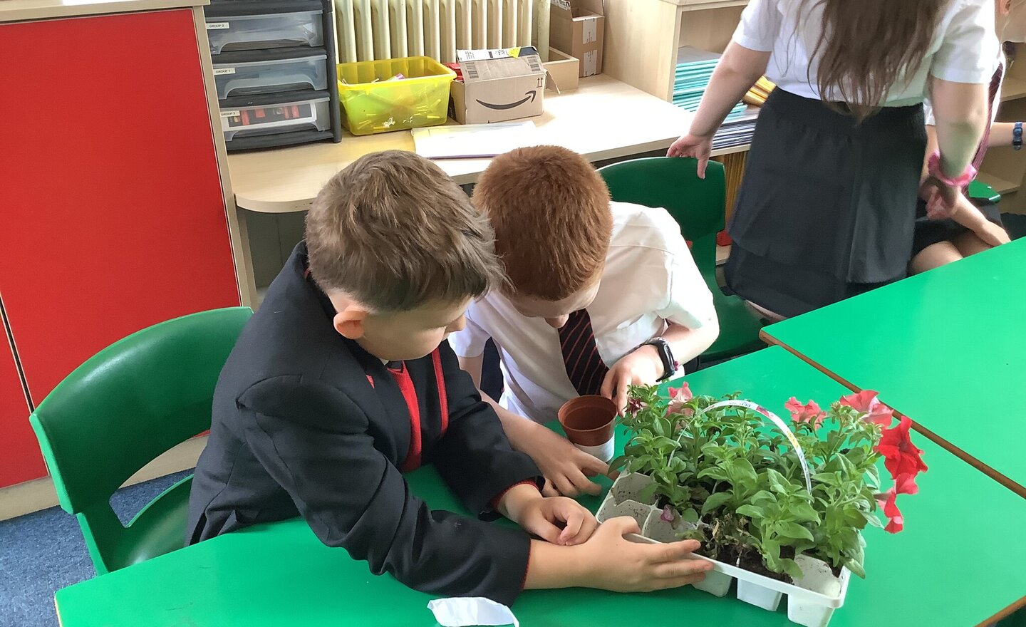 Image of Comparative testing in Science