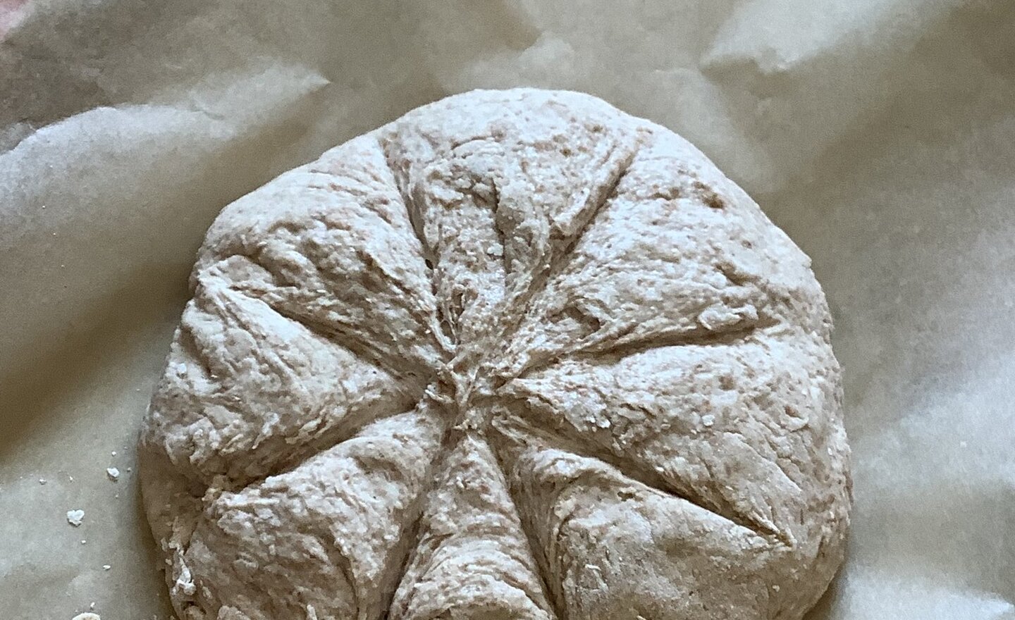 Image of Making Roman Spelt Bread