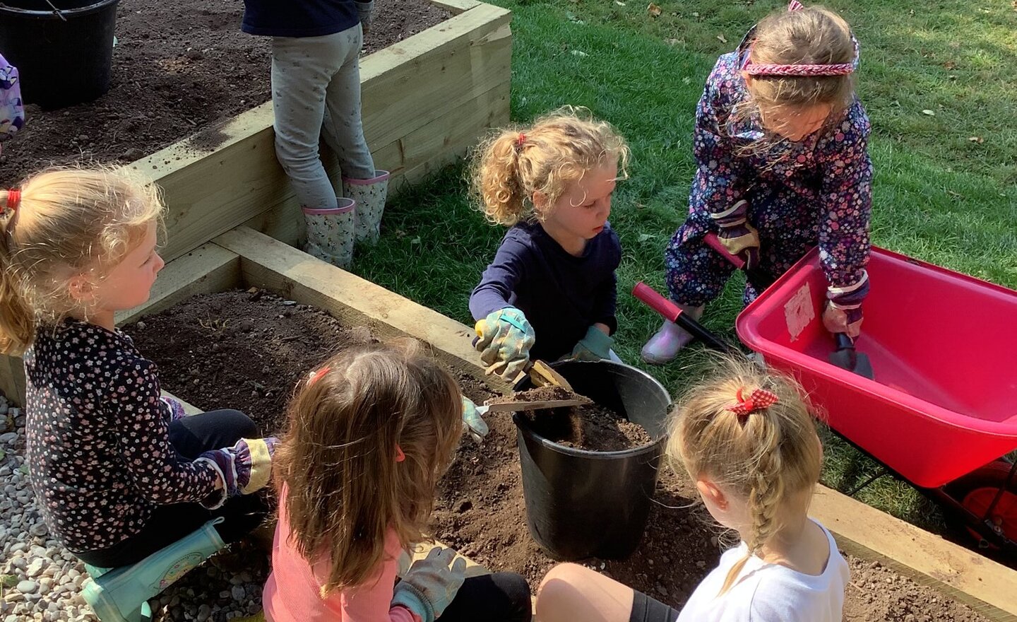 Image of Forest and gardening
