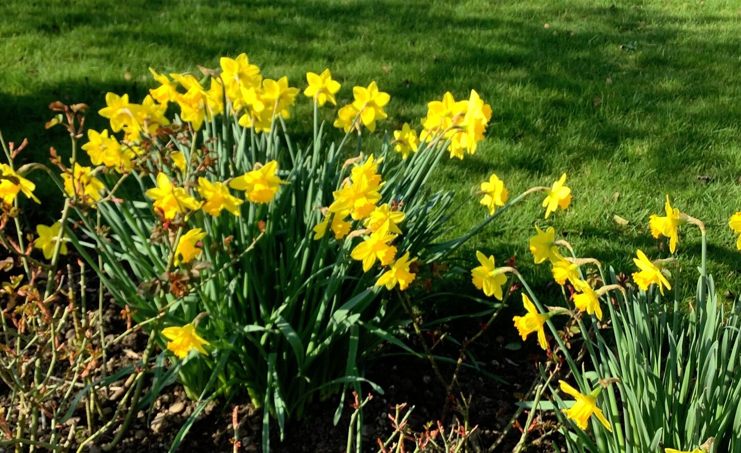 Image of What changes can be observed during Spring?