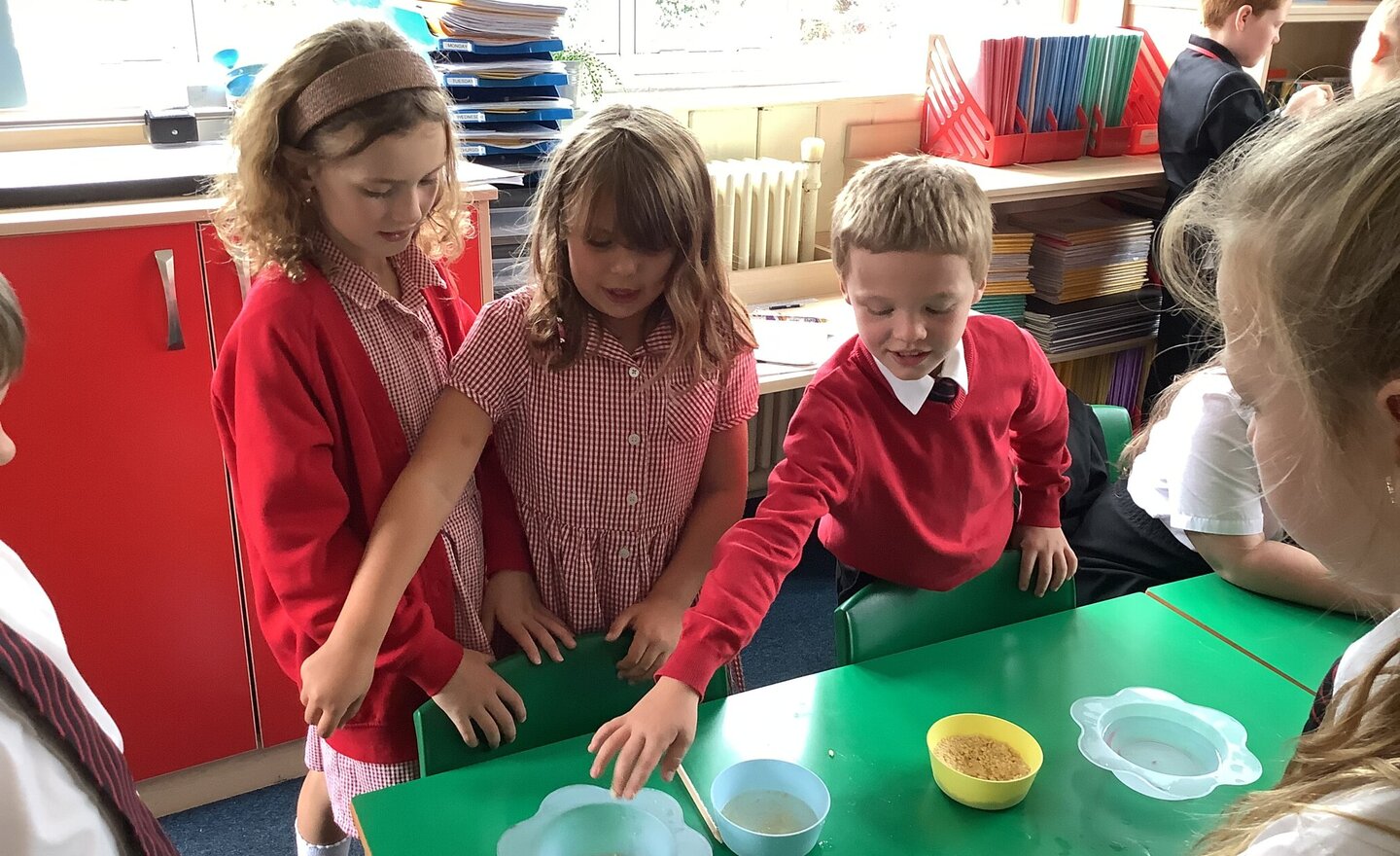 Image of Rice Crispies Pollination