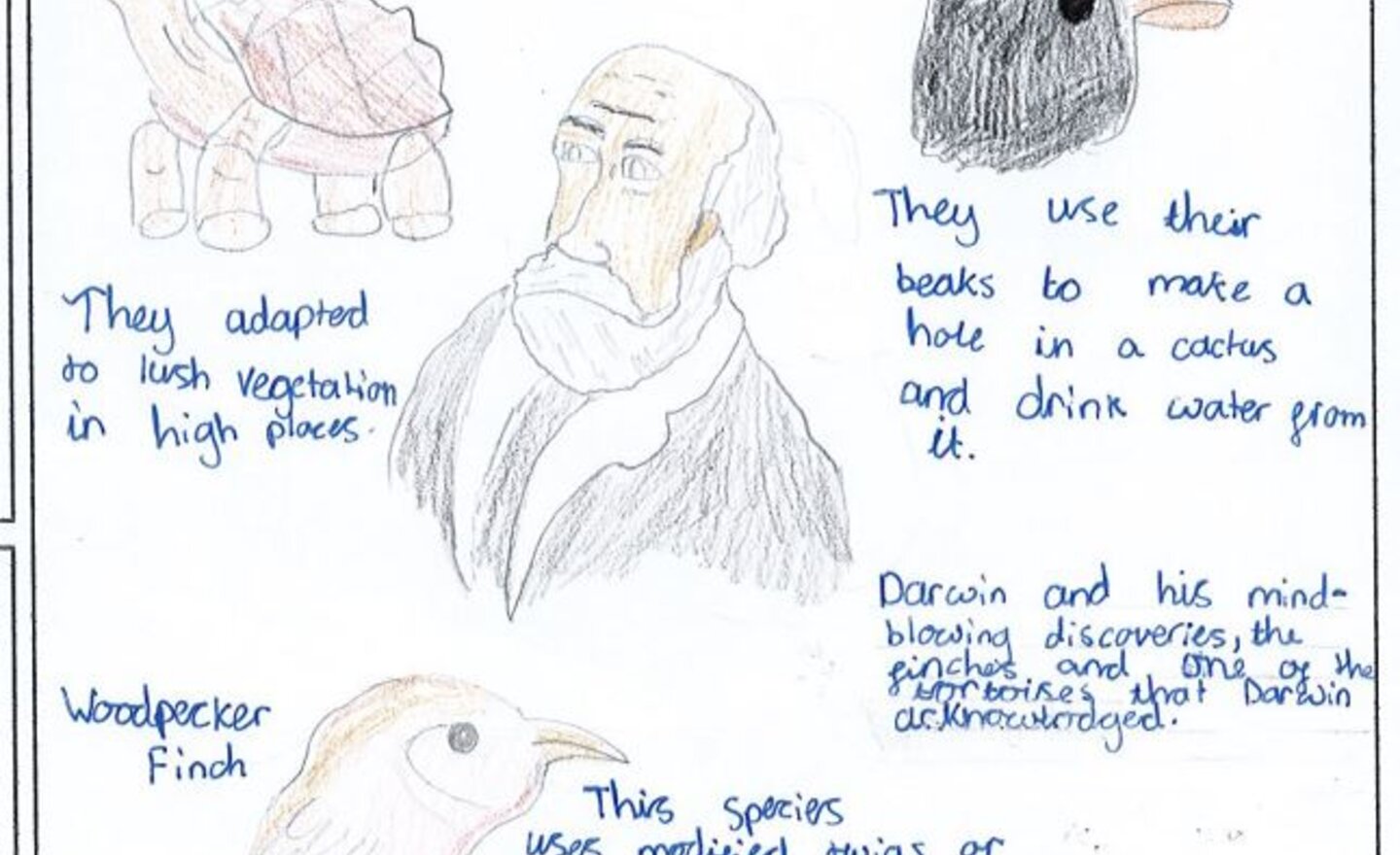 Image of Charles Darwin 