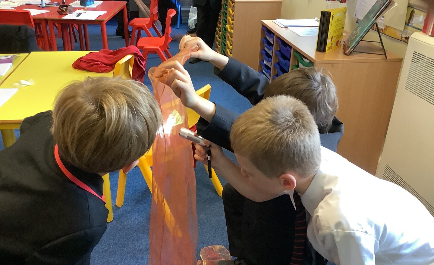 Image of Evaluating Investigations in Science