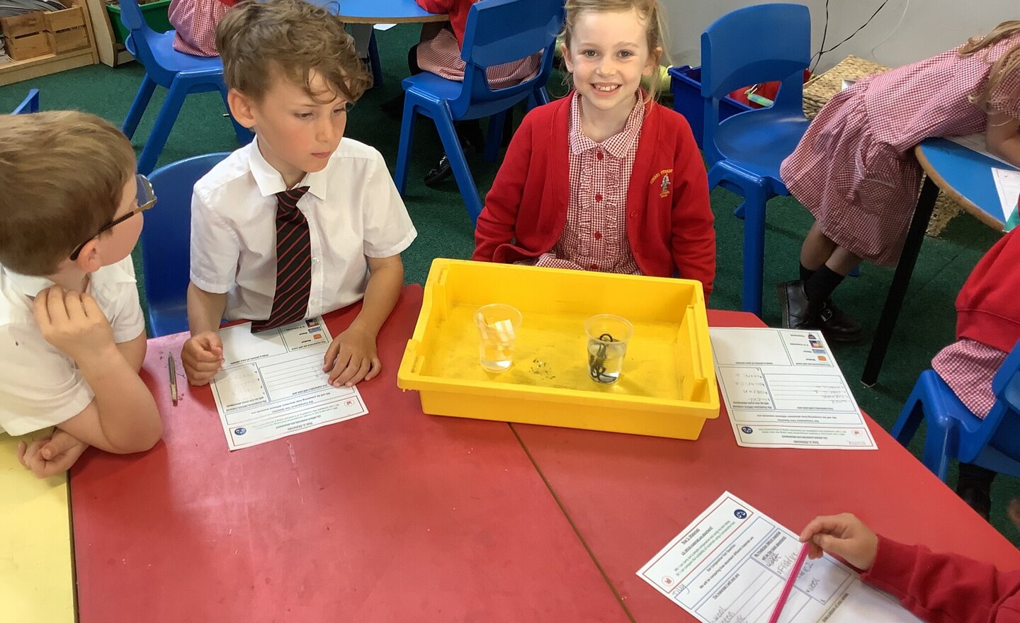 Image of Which materials are absorbent?