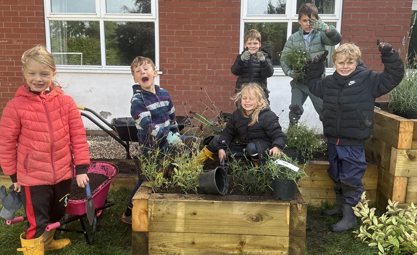 Image of PTFA Sensory garden 