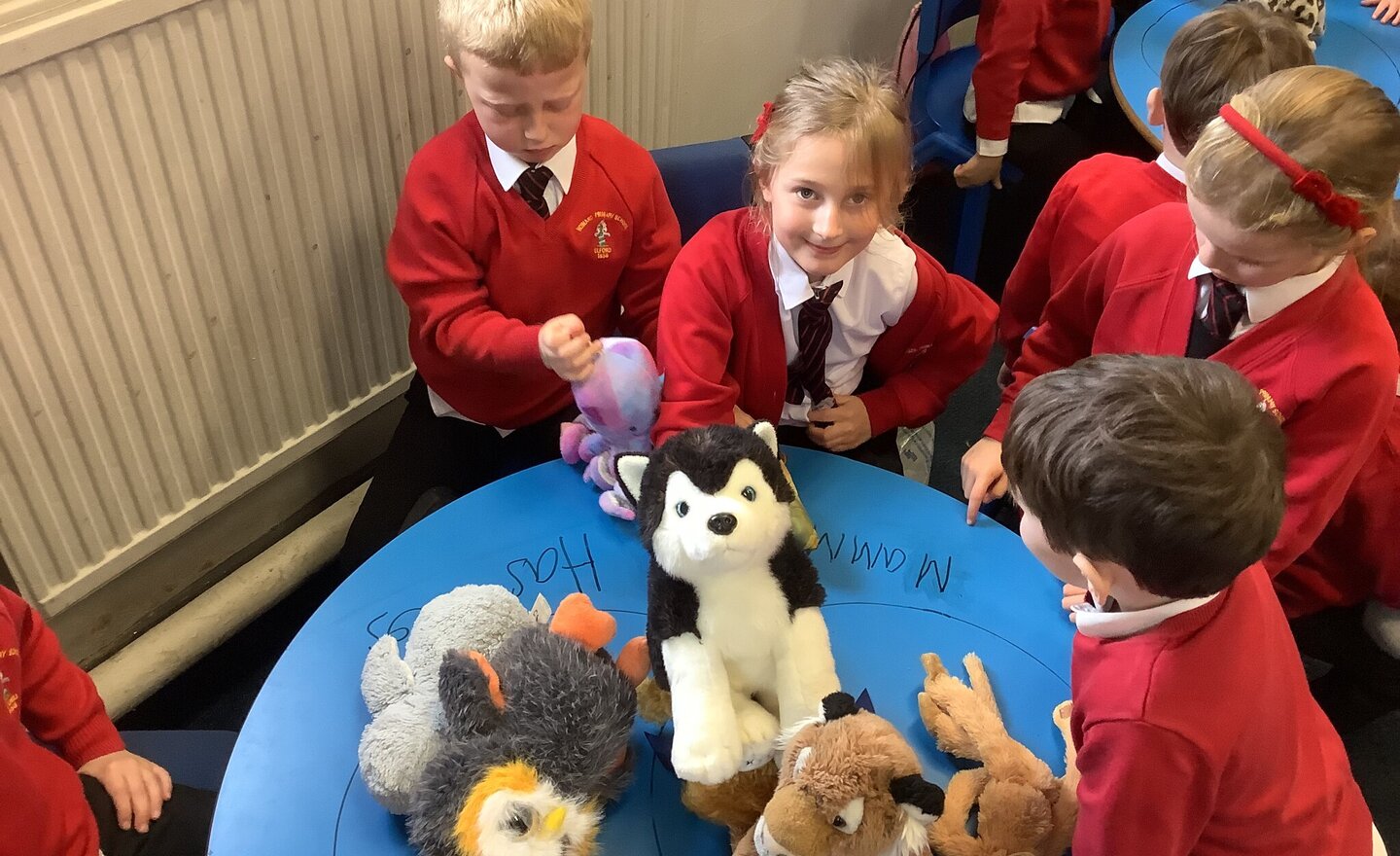 Image of How can we classify and group animals?