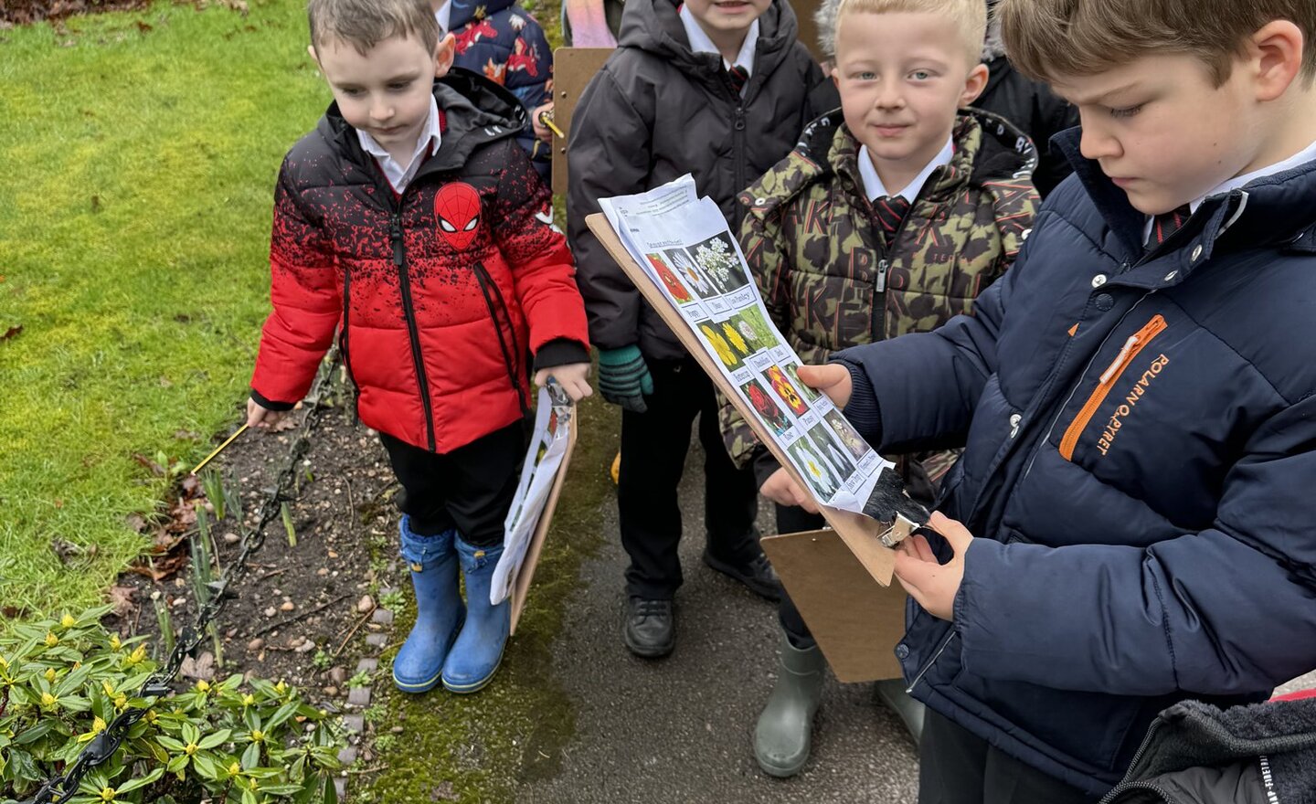 Image of Which plants and trees can you identify?