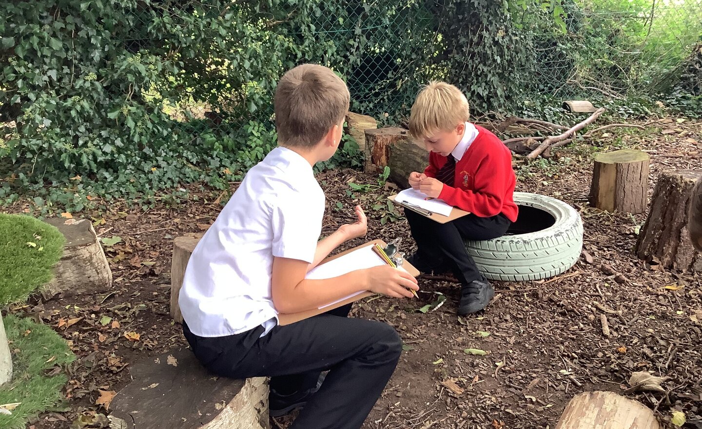 Image of Creepy Crawly Classification