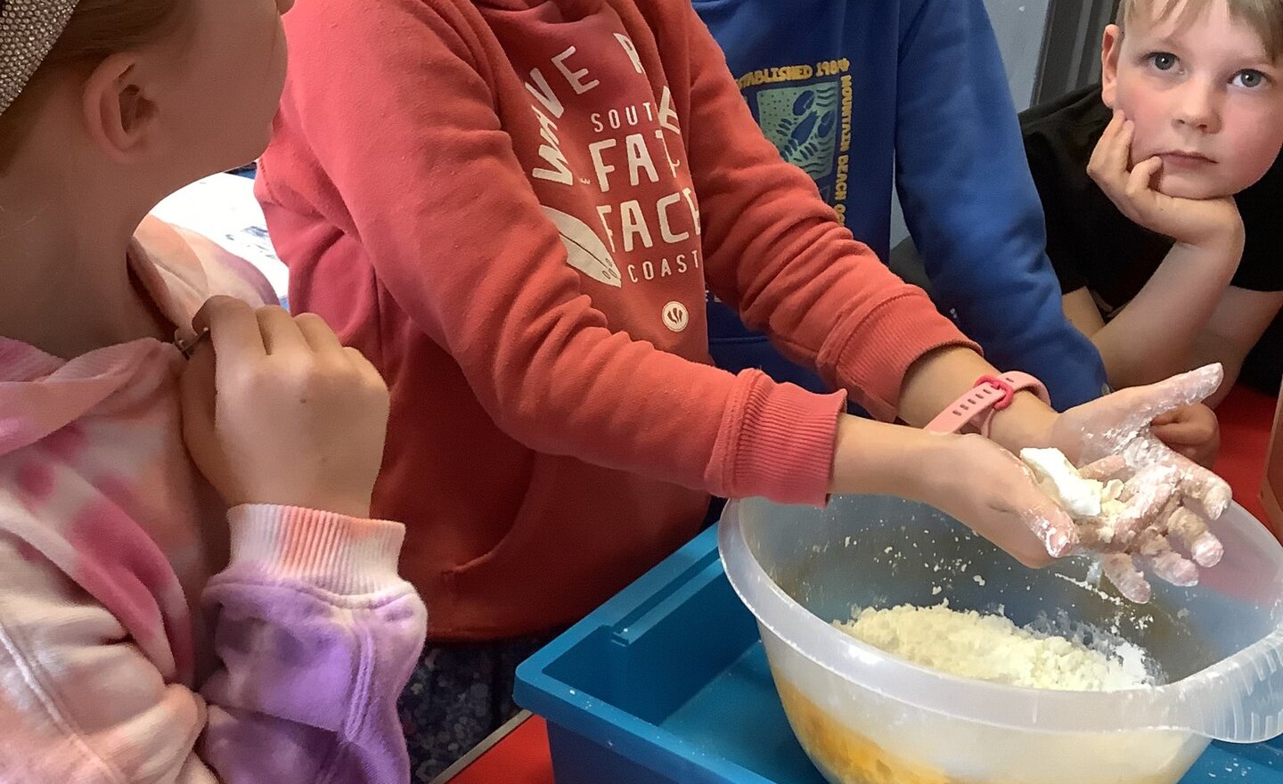 Image of Observing changes across the seasons