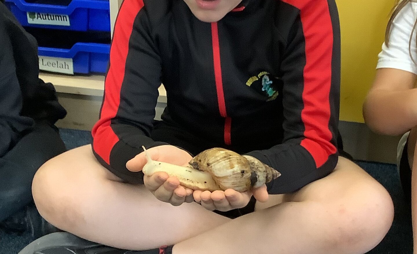 Image of Amazing animal experience!