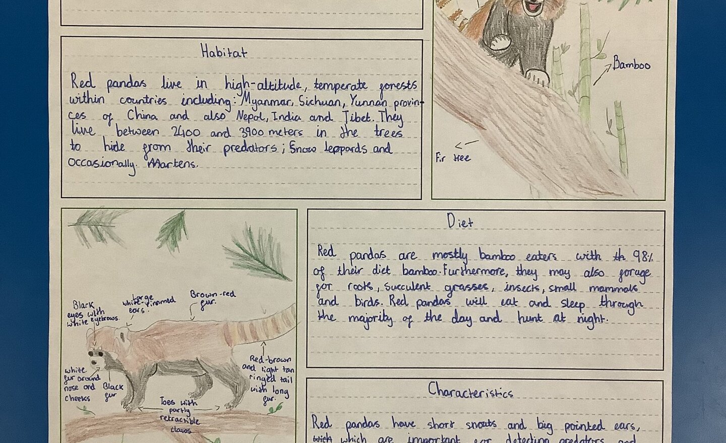 Image of Non Chronological Reports