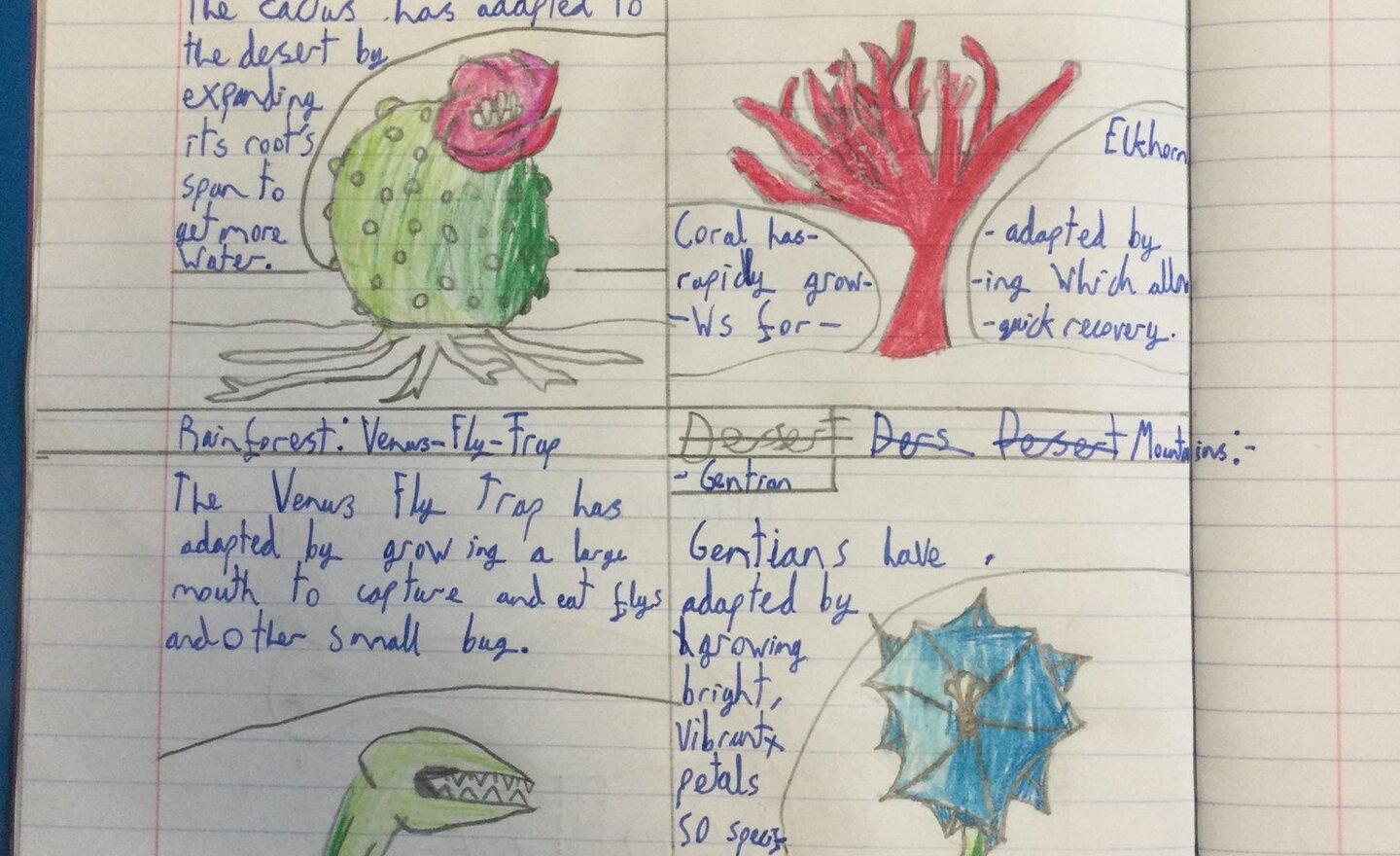 Image of Adaption and Evolution