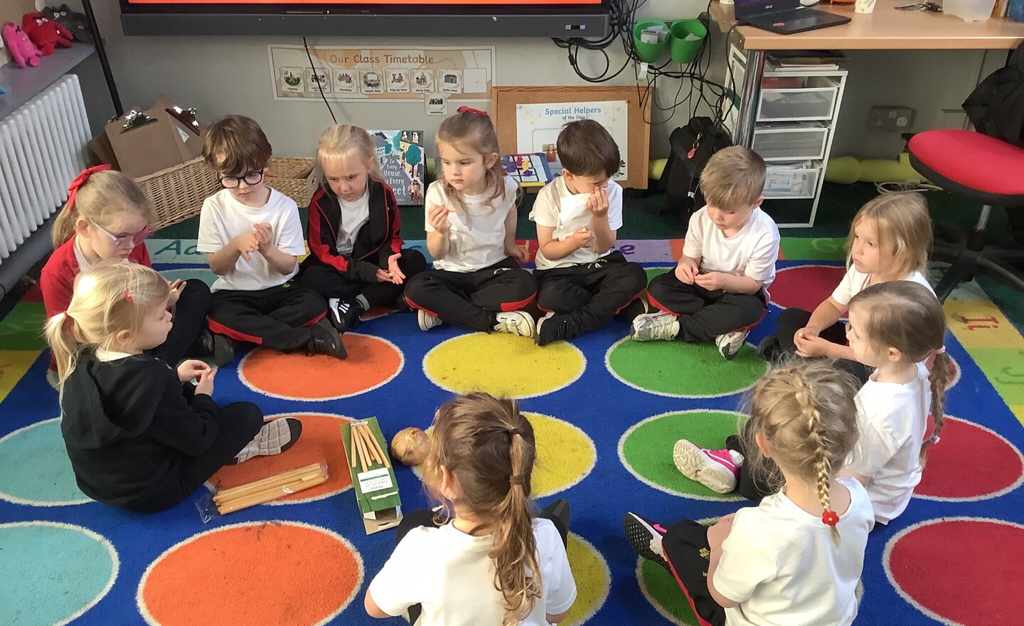 Image of Our super senses