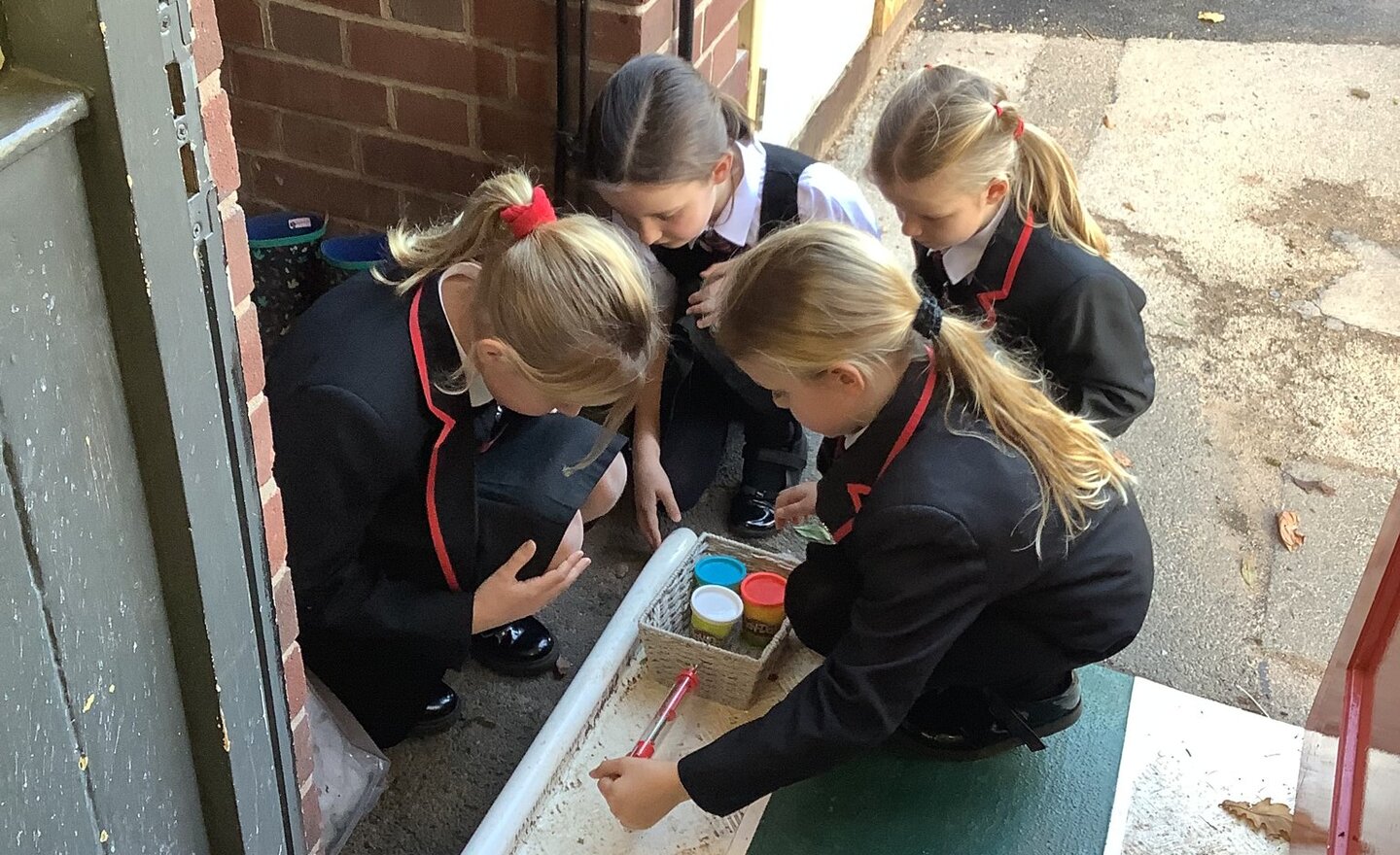 Image of Forces and magnets