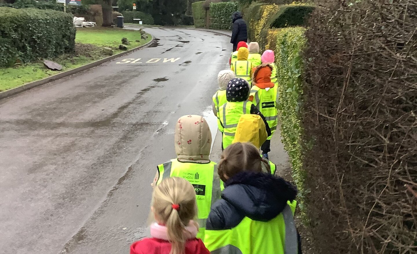 Image of Pig the pug goes for a walk with Class 1