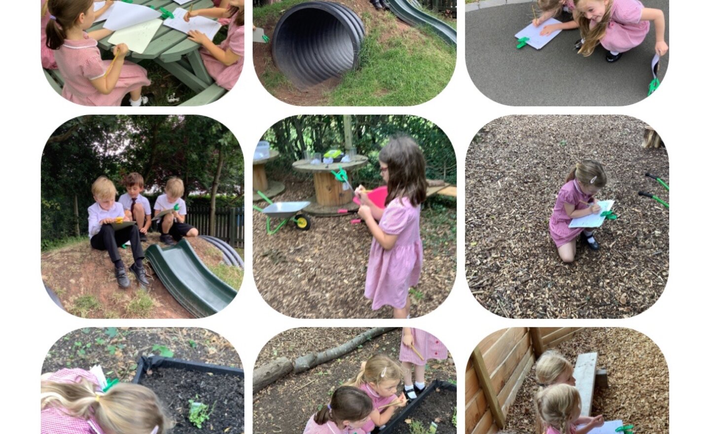 Image of Year One Scientists