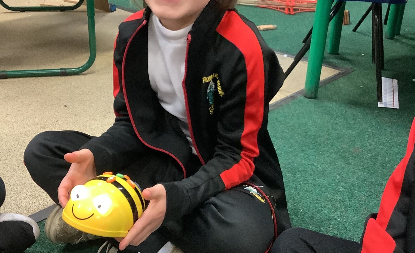 Image of Buttons and bees!