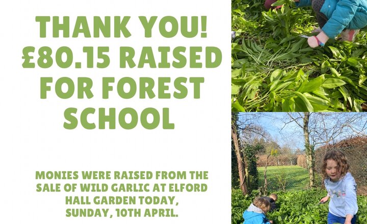 Image of Wild Garlic Sale- Thank you! 